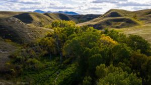 drone-scenics-raven-west